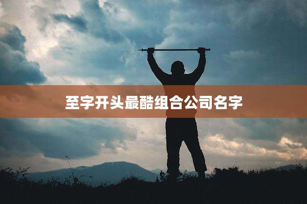 至字开头最酷组合公司名字