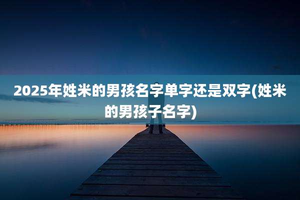 2025年姓米的男孩名字单字还是双字(姓米的男孩子名字)