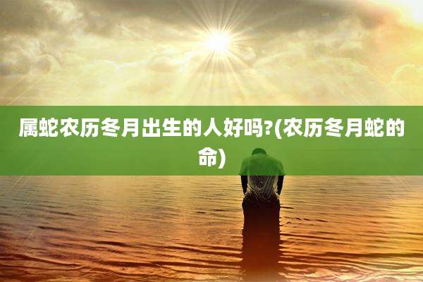 属蛇农历冬月出生的人好吗?(农历冬月蛇的命)