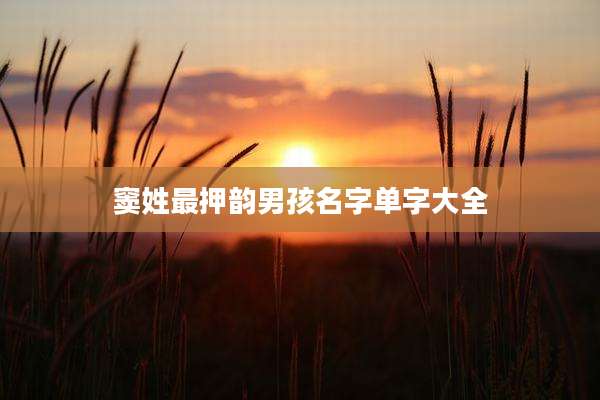 窦姓最押韵男孩名字单字大全