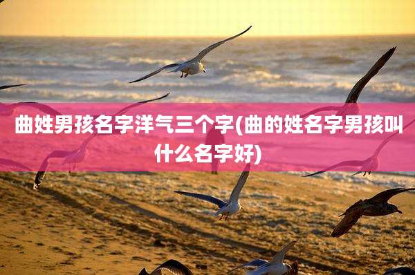 曲姓男孩名字洋气三个字(曲的姓名字男孩叫什么名字好)