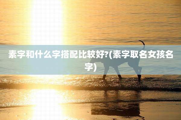 素字和什么字搭配比较好?(素字取名女孩名字)