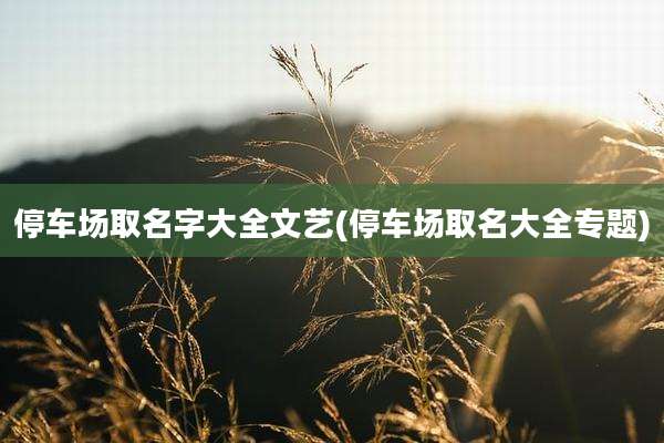 停车场取名字大全文艺(停车场取名大全专题)