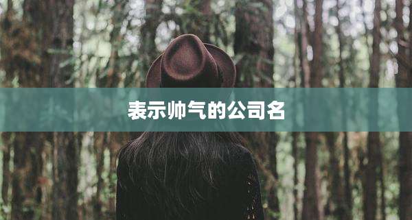 表示帅气的公司名