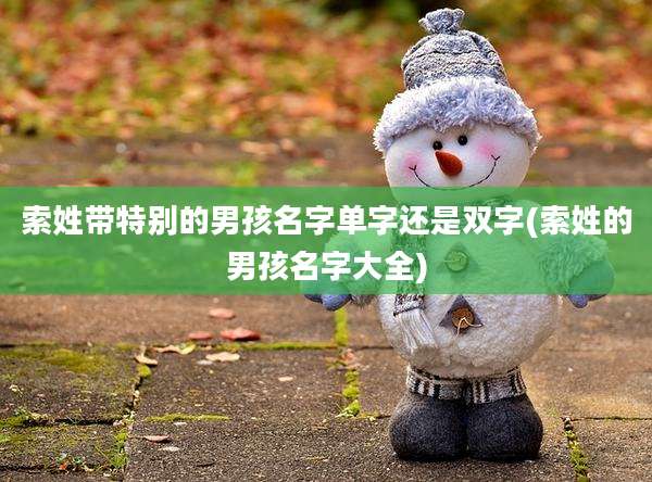 索姓带特别的男孩名字单字还是双字(索姓的男孩名字大全)