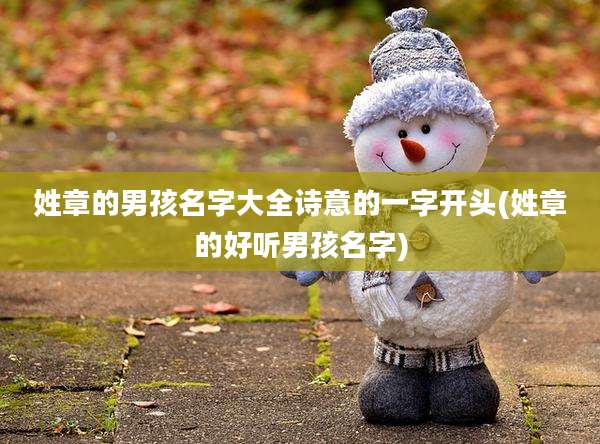 姓章的男孩名字大全诗意的一字开头(姓章的好听男孩名字)