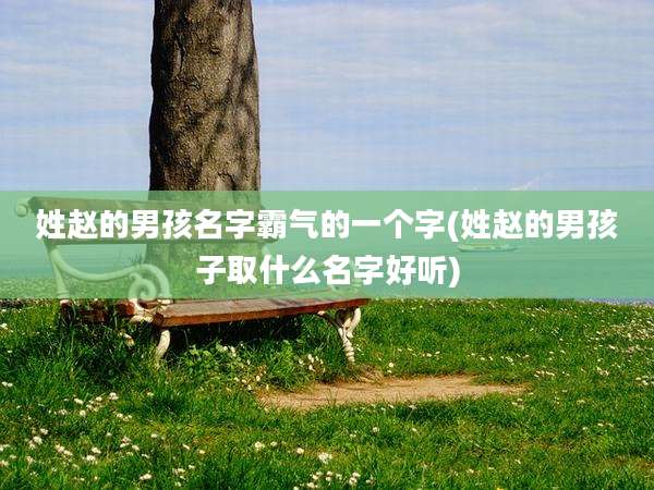 姓赵的男孩名字霸气的一个字(姓赵的男孩子取什么名字好听)