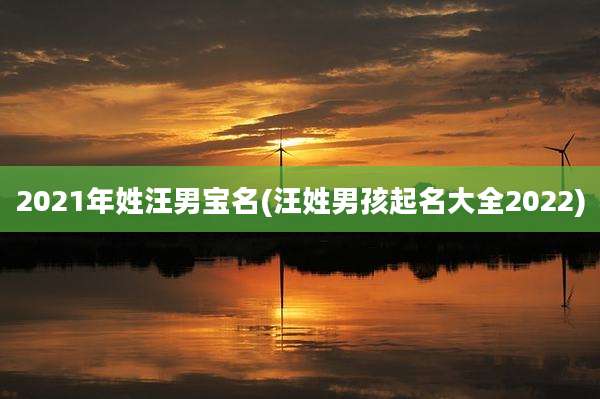 2021年姓汪男宝名(汪姓男孩起名大全2022)
