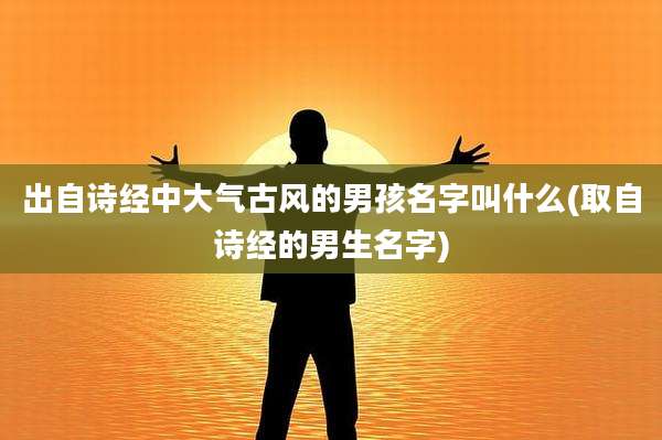 出自诗经中大气古风的男孩名字叫什么(取自诗经的男生名字)