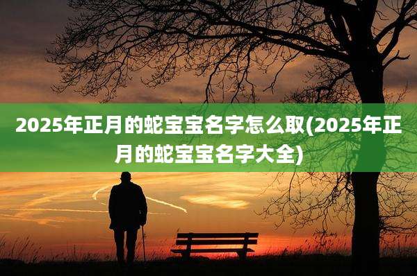 2025年正月的蛇宝宝名字怎么取(2025年正月的蛇宝宝名字大全)