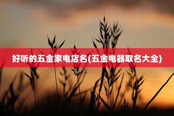 好听的五金家电店名(五金电器取名大全)