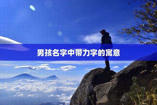 男孩名字中带力字的寓意