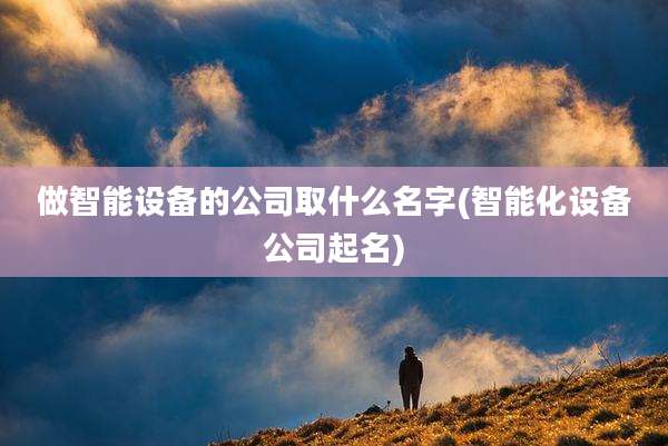 做智能设备的公司取什么名字(智能化设备公司起名)