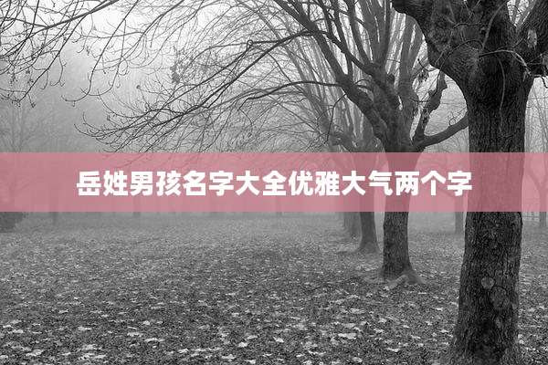 岳姓男孩名字大全优雅大气两个字
