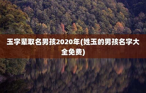 玉字辈取名男孩2020年(姓玉的男孩名字大全免费)