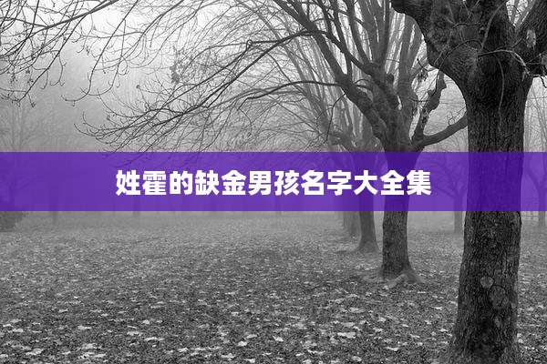 姓霍的缺金男孩名字大全集