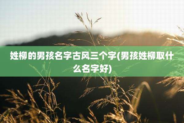 姓柳的男孩名字古风三个字(男孩姓柳取什么名字好)