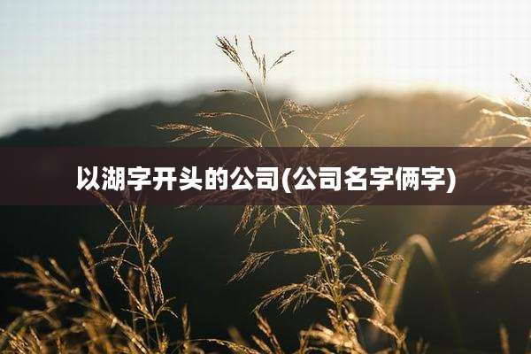 以湖字开头的公司(公司名字俩字)