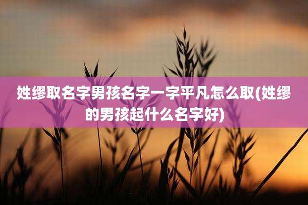 姓缪取名字男孩名字一字平凡怎么取(姓缪的男孩起什么名字好)