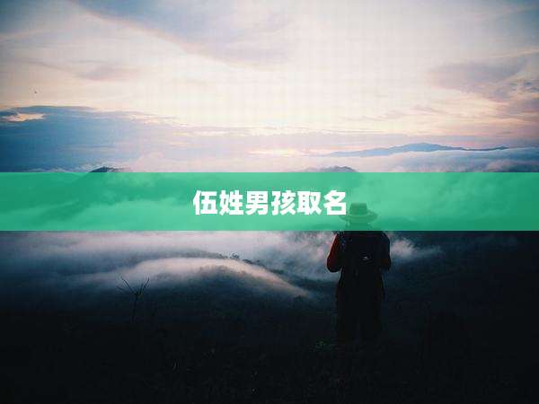 伍姓男孩取名