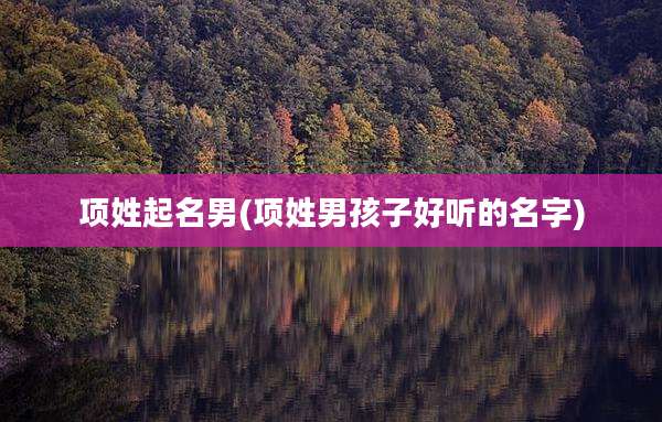 项姓起名男(项姓男孩子好听的名字)
