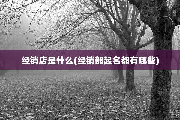 经销店是什么(经销部起名都有哪些)