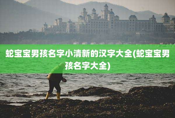 蛇宝宝男孩名字小清新的汉字大全(蛇宝宝男孩名字大全)