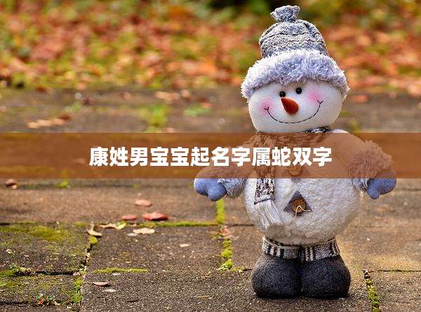 康姓男宝宝起名字属蛇双字