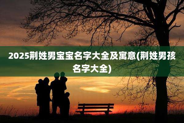 2025荆姓男宝宝名字大全及寓意(荆姓男孩名字大全)