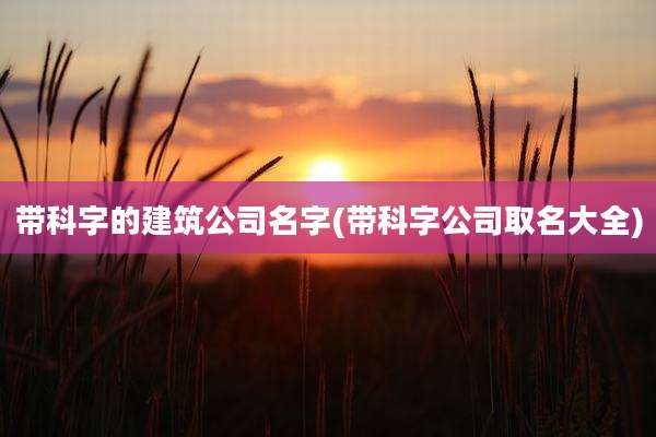 带科字的建筑公司名字(带科字公司取名大全)