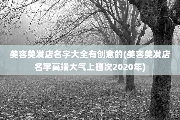 美容美发店名字大全有创意的(美容美发店名字高端大气上档次2020年)