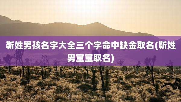 靳姓男孩名字大全三个字命中缺金取名(靳姓男宝宝取名)