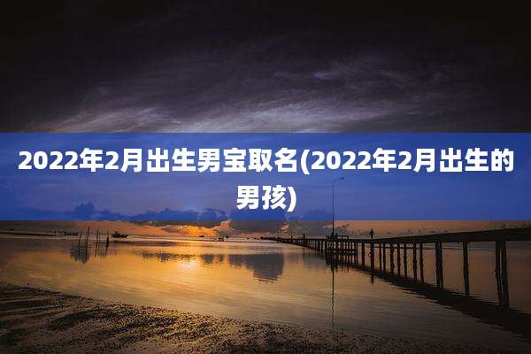 2022年2月出生男宝取名(2022年2月出生的男孩)
