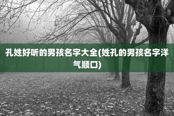 孔姓好听的男孩名字大全(姓孔的男孩名字洋气顺口)