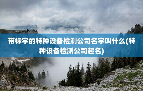 带标字的特种设备检测公司名字叫什么(特种设备检测公司起名)