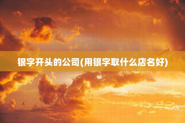 银字开头的公司(用银字取什么店名好)