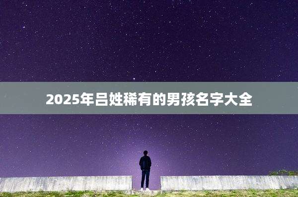 2025年吕姓稀有的男孩名字大全
