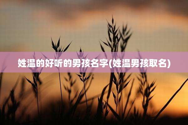 姓温的好听的男孩名字(姓温男孩取名)