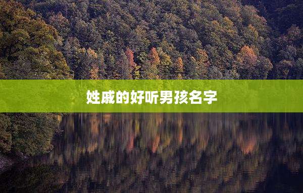 姓戚的好听男孩名字