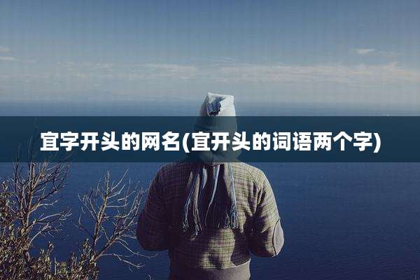 宜字开头的网名(宜开头的词语两个字)