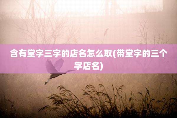 含有堂字三字的店名怎么取(带堂字的三个字店名)