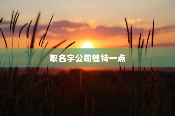 取名字公司独特一点