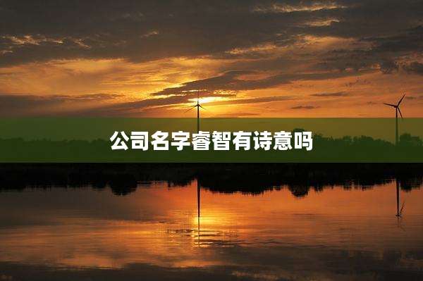 公司名字睿智有诗意吗