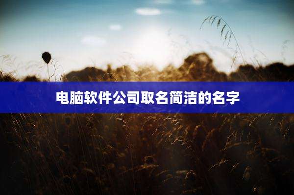 电脑软件公司取名简洁的名字