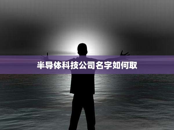 半导体科技公司名字如何取