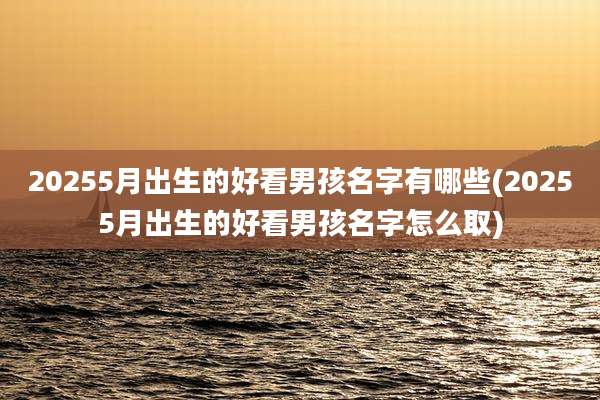 20255月出生的好看男孩名字有哪些(20255月出生的好看男孩名字怎么取)