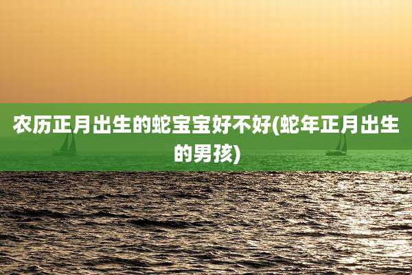 农历正月出生的蛇宝宝好不好(蛇年正月出生的男孩)