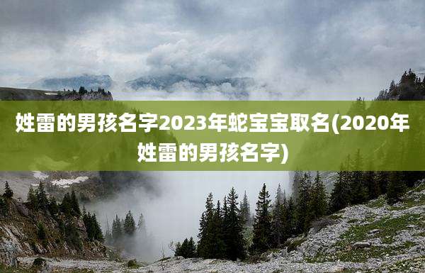 姓雷的男孩名字2023年蛇宝宝取名(2020年姓雷的男孩名字)