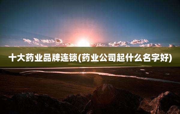 十大药业品牌连锁(药业公司起什么名字好)