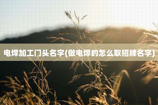 电焊加工门头名字(做电焊的怎么取招牌名字)